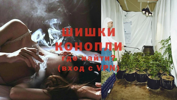 дурь Арсеньев