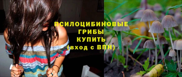 apvp Армянск