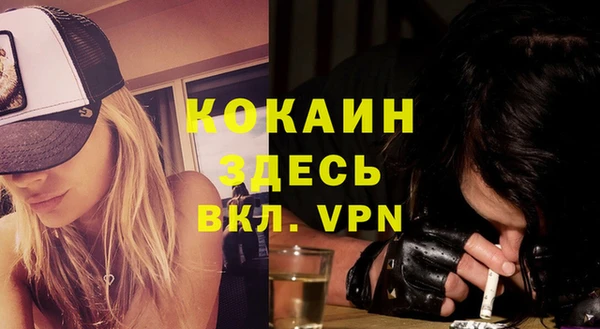 apvp Армянск