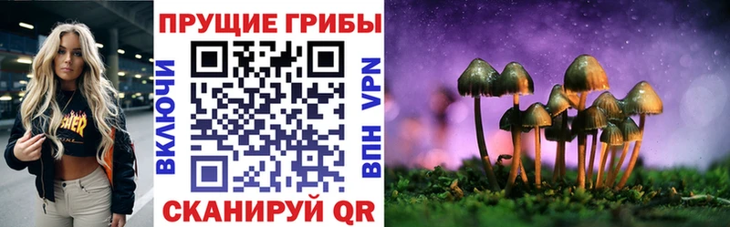гидра ССЫЛКА  Тарко-Сале  Псилоцибиновые грибы мицелий 